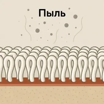 Удаление поверхностной пыли и сухой грязи